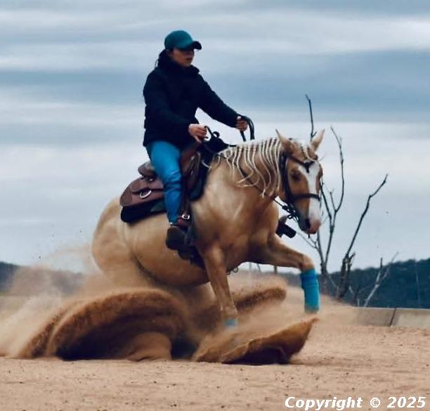 LUTZ ZERO GUNS 4 SAIL